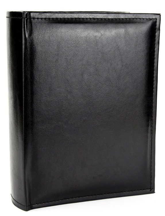 Brandy BK kraina ramek (2).JPG