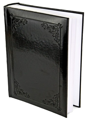 FINES 2BK kraina ramek (19).JPG