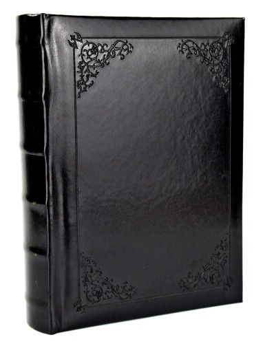 FINES 2BK kraina ramek (20).JPG