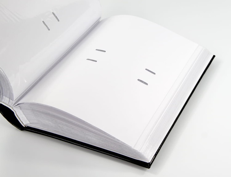 FINES 2BK kraina ramek (14).JPG
