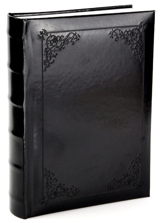 FINES 2BK kraina ramek (15).JPG