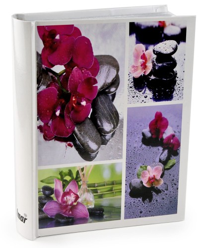 ZEN CDS lotmar (15).JPG