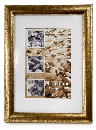 ELA VF3557 (1)++.jpg