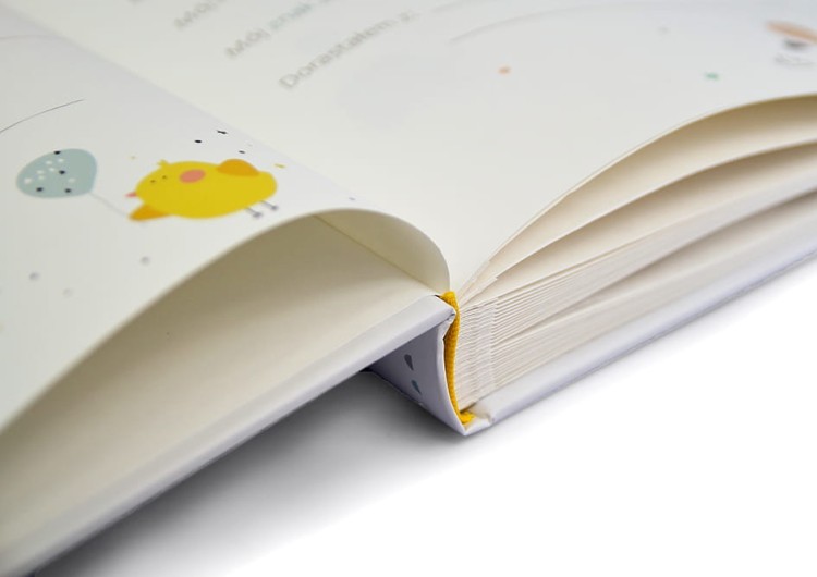 GOLDBUCH ballopnfahrt 30 60 (5).JPG