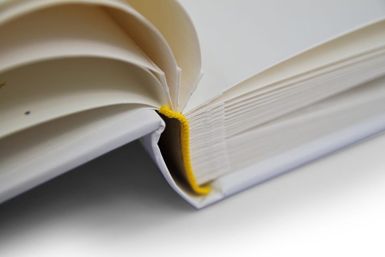 GOLDBUCH ballopnfahrt 30 60 (6).JPG