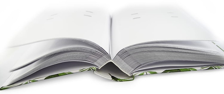 new green, album fotograficzny, album do zdjęć różnych (7).JPG