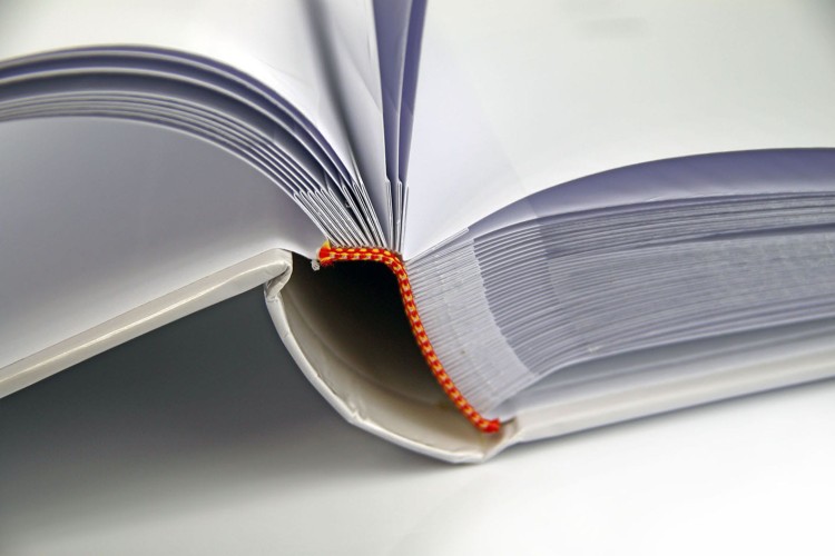 332 liscie, album do zdjęć 10x15, album foto na prezent (10).JPG