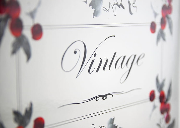 szvintage_album na 600 zdjęc 10x15, album fotograficzny (12).JPG