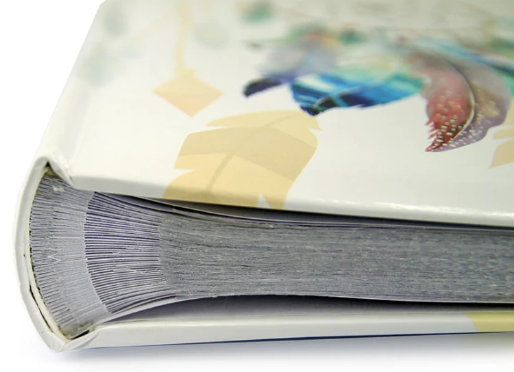 lona, album do zdjęć z kieszeniami (13).JPG