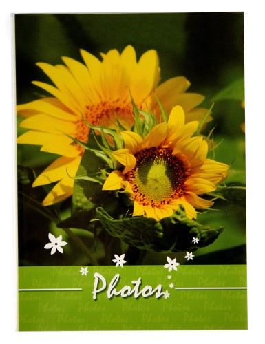 al4664p2, album miękki na zdjęcia 10x15 (15).JPG