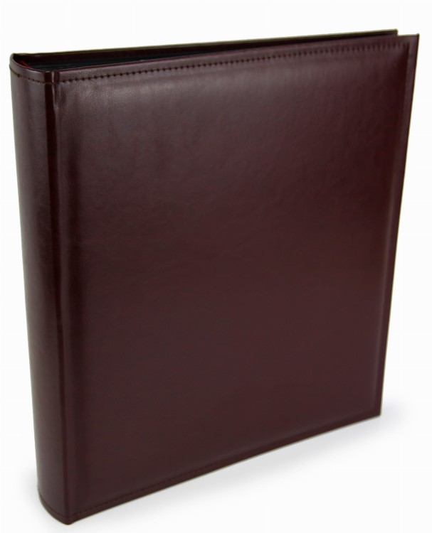 brandy D, album tradycyjny z czarnymi stronami (1).JPG