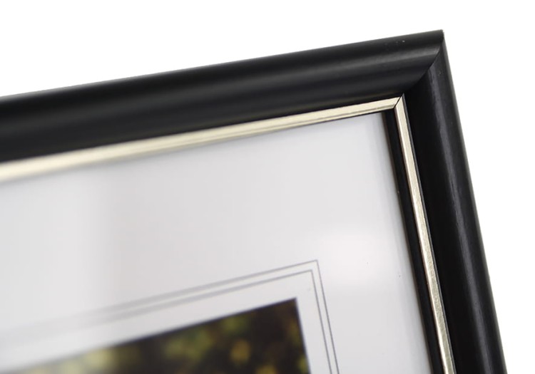 DRWBF _ ramka classic  (19).JPG