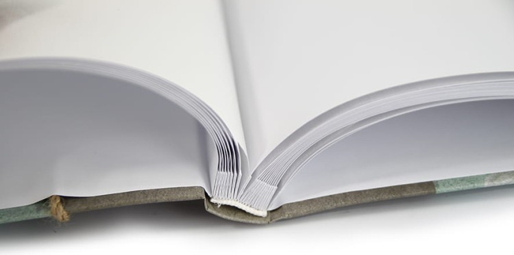 garden, album tradycyjny do wklejania (7).JPG