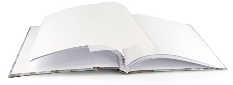 garden, album tradycyjny do wklejania (8).JPG