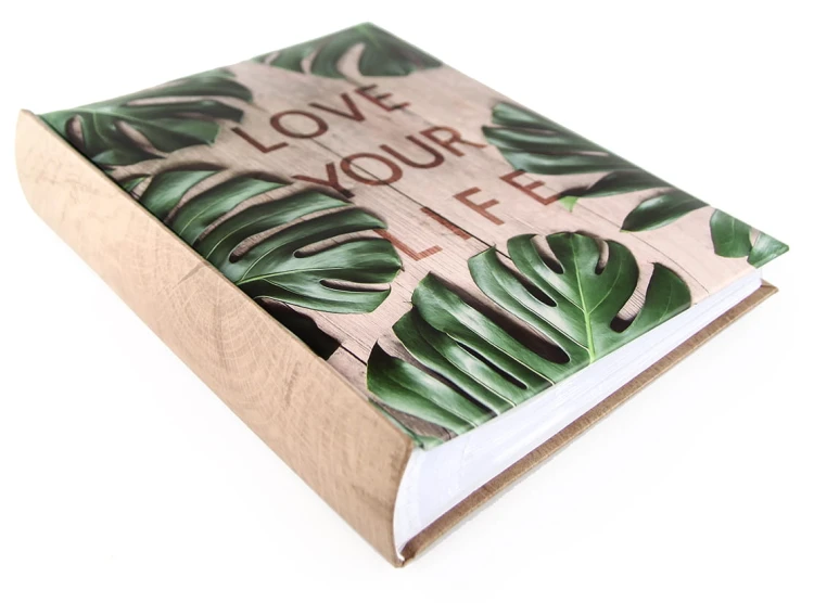 ZEN, album 10x15 (7).JPG