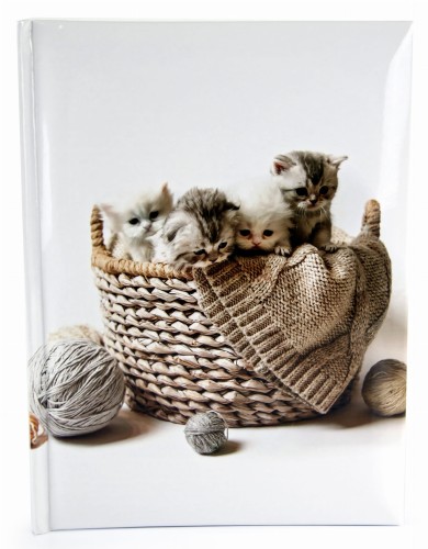 assort 71, album na 200 zdjęc z kotami na okładce (1).JPG