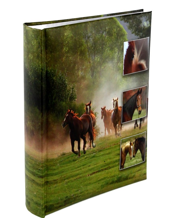 Album KONIE (2).JPG