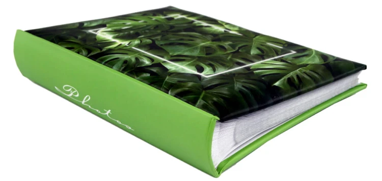 Album MONSTERA (5).JPG