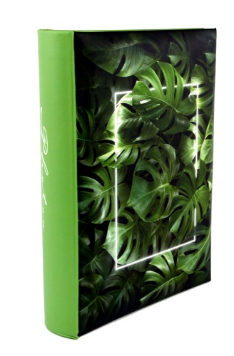 Album MONSTERA (2).JPG