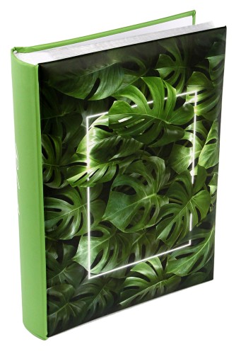 Album MONSTERA (7).JPG