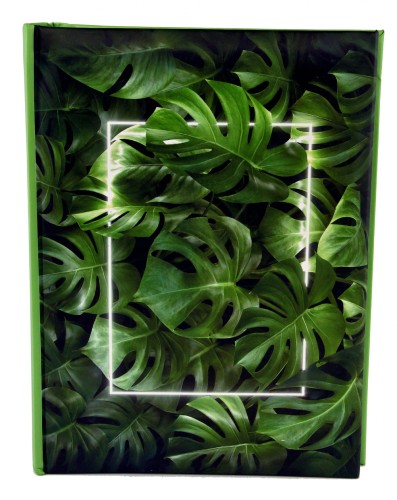 Album MONSTERA (1).JPG