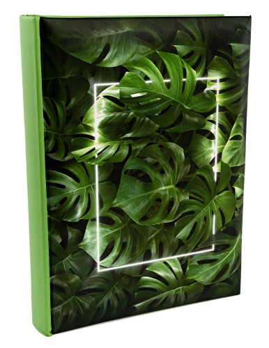 Album MONSTERA (8).JPG