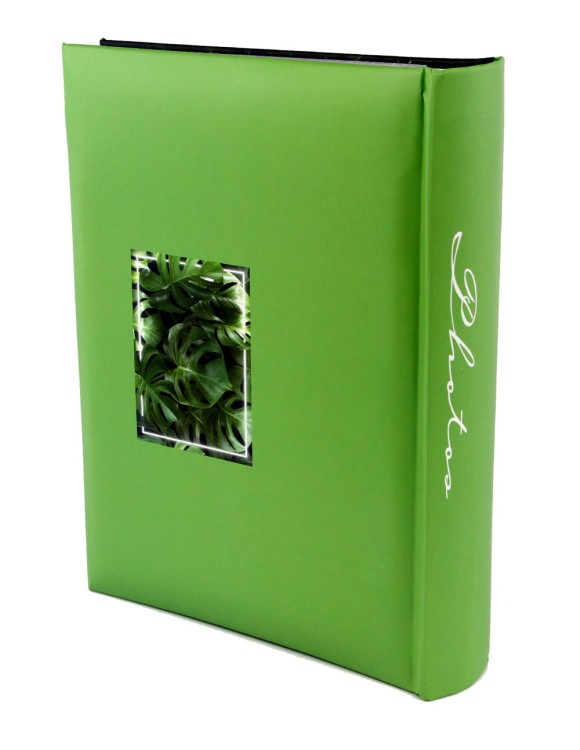 Album MONSTERA (4).JPG