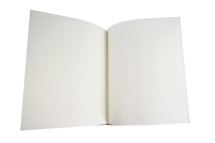 7892.jpg